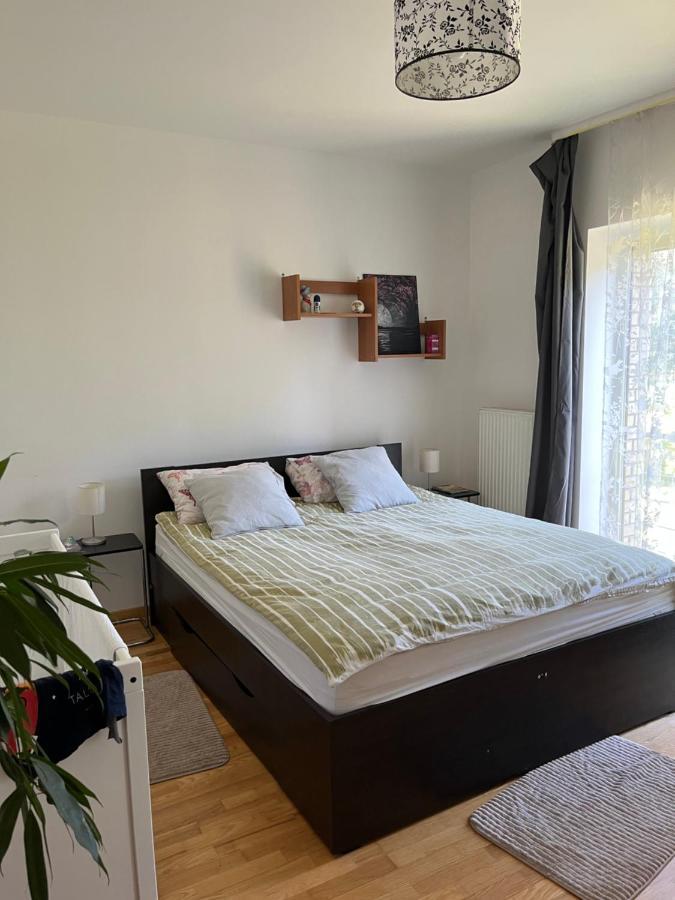 Strelnieku Apartment Σιγκούλντα Εξωτερικό φωτογραφία